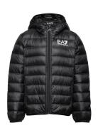 Outerwear Sport Jackets & Coats Puffer & Padded Black EA7