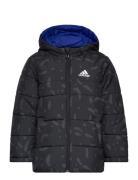 Jk Rev Pad Jkt Sport Jackets & Coats Puffer & Padded Black Adidas Spor...