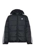 Padded Jacket Sport Jackets & Coats Puffer & Padded Black Adidas Origi...