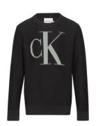 Monogram Reg. Sweater Tops Knitwear Pullovers Black Calvin Klein