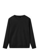 Nlnnizu Ls Bru O-Neck Sweat Noos Tops Sweatshirts & Hoodies Sweatshirt...