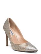 Evelyn-Cr Pump Shoes Heels Pumps Classic Silver Steve Madden