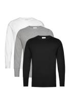 3Pk Basic Tee L/S Tops T-Langærmet Skjorte Black Lindbergh