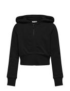 Kogbella Life L/S Zip Hood Short Ub Swt Tops Sweatshirts & Hoodies Hoo...