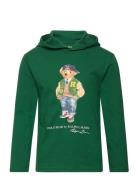 Polo Bear Cotton Jersey Hooded Tee Tops Sweatshirts & Hoodies Hoodies ...