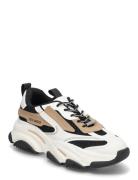 Possession-E Sneaker Low-top Sneakers Multi/patterned Steve Madden