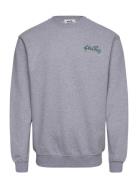 Stan Og Crew Designers Sweatshirts & Hoodies Sweatshirts Grey Stan Ray