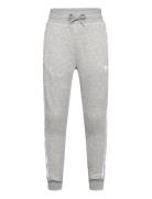 Trefoil Pants Sport Sweatpants Grey Adidas Originals