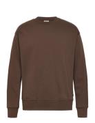 Sdlenz Crew Sw Tops Sweatshirts & Hoodies Sweatshirts Brown Solid