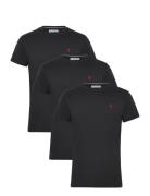 Uspa T-Shirt Arjun 3-Pack Tops T-Kortærmet Skjorte Black U.S. Polo Ass...