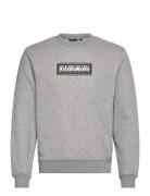 Box Logo Sweatshirt Tops Sweatshirts & Hoodies Sweatshirts Grey Napapi...