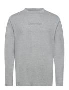 L/S Crew Neck Tops T-Langærmet Skjorte Grey Calvin Klein