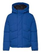 Jjworld Puffer Jacket Mni Foret Jakke Blue Jack & J S