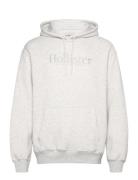 Hco. Guys Sweatshirts Tops Sweatshirts & Hoodies Hoodies Grey Holliste...