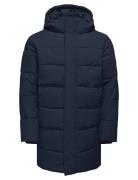 Onscarl Life Long Quilted Coat Otw Noos Foret Jakke Navy ONLY & SONS