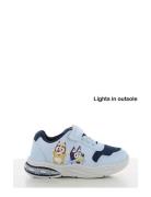 Bluey Sneaker Low-top Sneakers Blue Bluey