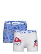 Boxer Night & Underwear Underwear Underpants Blue Paw Patrol