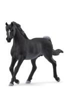 Schleich Arab Stallion Toys Playsets & Action Figures Animals Black Sc...