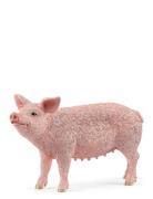 Schleich Pig Toys Playsets & Action Figures Animals Multi/patterned Sc...