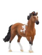 Schleich Mangalarga Marchador Stallion Toys Playsets & Action Figures ...