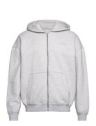 Hco. Guys Sweatshirts Tops Sweatshirts & Hoodies Hoodies Grey Holliste...