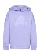 U Fi Logo Hd Tops Sweatshirts & Hoodies Hoodies Purple Adidas Sportswe...