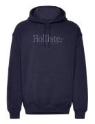 Hco. Guys Sweatshirts Tops Sweatshirts & Hoodies Hoodies Navy Holliste...