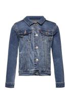 Levi's® Trucker Jacket Outerwear Jackets & Coats Denim & Corduroy Blue...