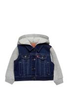 Dj-Denim Jackets Outerwear Jackets & Coats Denim & Corduroy Blue Levi'...