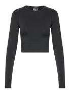 Sculpt Seamless Crop Long Sleeve Sport Crop Tops Long-sleeved Crop Top...