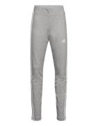 G 3S Tig Sport Leggings Grey Adidas Sportswear