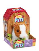 Happy Pets Guinea Pig Toys Interactive Animals & Robots Interactive An...