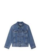 Denim Jacket Outerwear Jackets & Coats Denim & Corduroy Blue Tom Tailo...