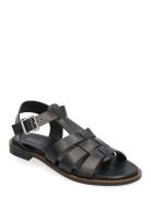 Gladiator Flat Designers Sandals Flat Black Apair