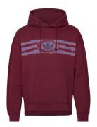 Adidas Originals Archive Graphic Print Hooded Sweat Sport Sport Clothi...