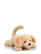 Happy Pets Roll Over Puppy Toys Interactive Animals & Robots Interacti...