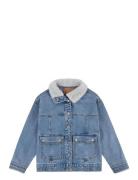 Levi's® Sherpa Collar Over D Trucker Jacket Outerwear Jackets & Coats ...