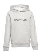 Institutional Logo Hoodie Tops Sweatshirts & Hoodies Hoodies Grey Calv...