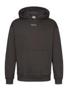 Halo Graphic Hoodie Tops Sweatshirts & Hoodies Hoodies Black HALO