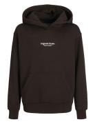 Jorvesterbro Sweat Hood Noos Jnr Tops Sweatshirts & Hoodies Hoodies Br...