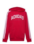 J C Colleg Hd Sport Sweatshirts & Hoodies Hoodies Red Adidas Sportswea...