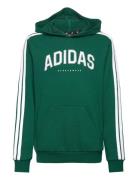 J C Colleg Hd Tops Sweatshirts & Hoodies Hoodies Green Adidas Sportswe...