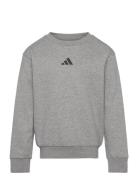 J Allszn Gfx Sw Sport Sweatshirts & Hoodies Sweatshirts Grey Adidas Sp...