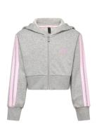 Jg 3S Ft Fz Cro Sweatshirt Trøje Grey Adidas Sportswear