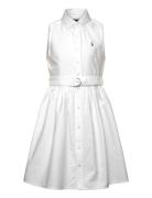 Belted Cotton Oxford Shirtdress Dresses & Skirts Dresses Casual Dresse...