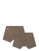 Cilas Boxershorts - 2 Pack Night & Underwear Underwear Underpants Brow...