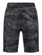 J Tr-Es Cam Sho Sport Shorts Sport Shorts Black Adidas Sportswear