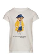 Polo Bear Cotton Jersey Tee Tops T-Kortærmet Skjorte White Ralph Laure...