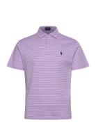 Custom Slim Fit Striped Soft Cotton Polo Tops Polos Short-sleeved Purp...