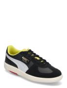 Ferrari Palermo Sport Women Sport Shoes Sport Sneakers Sport Low Top S...